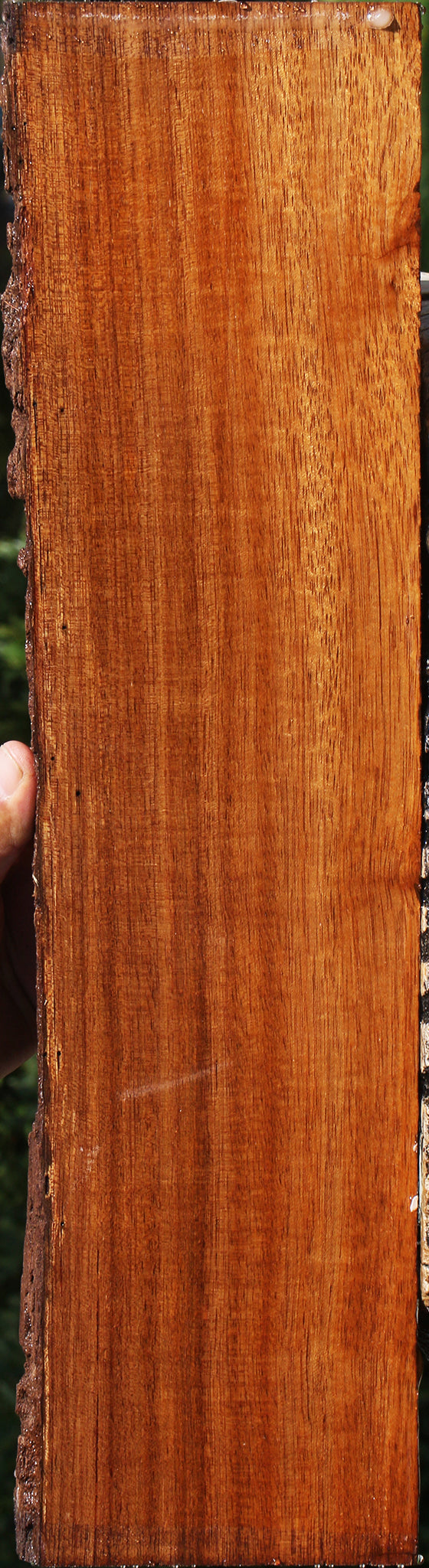 231083_1_4780a3a7-61c4-4865-a53b-827c4dbdbd37 15090628034931