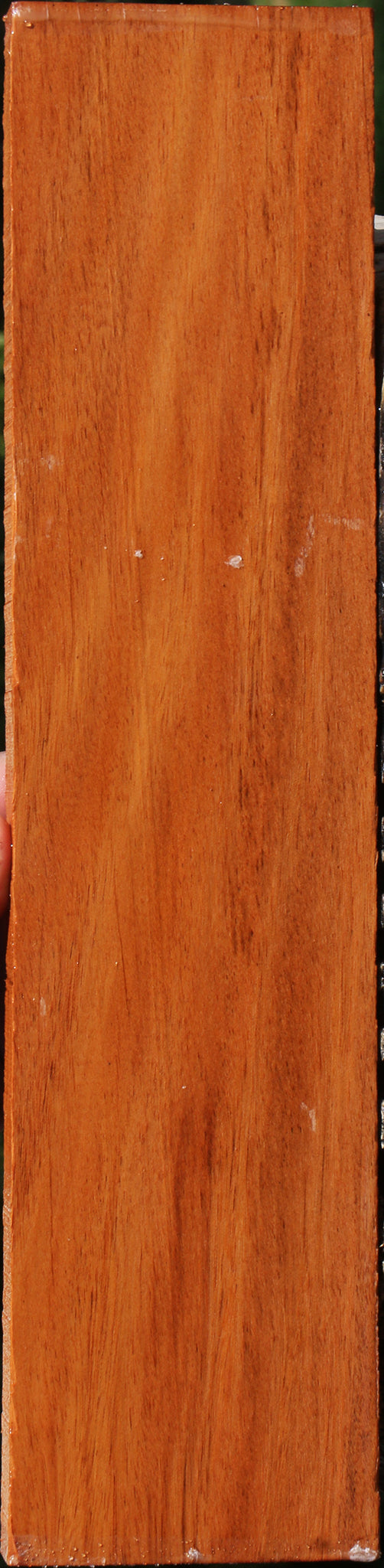 231086_1_70997c68-b2d2-41b5-bd84-84ea085d2ee9 15090628493683