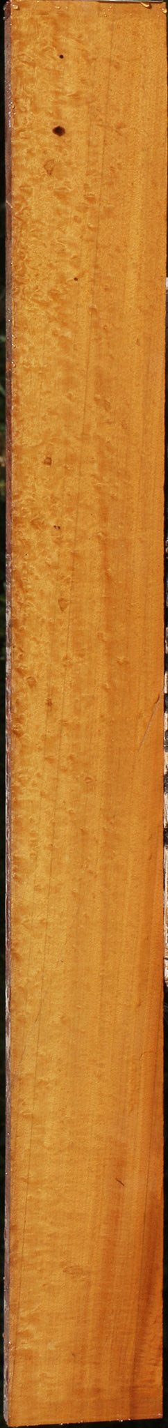 231098_1_f26f1023-5ff1-4803-9fe7-02210cbf694e 15090630197619