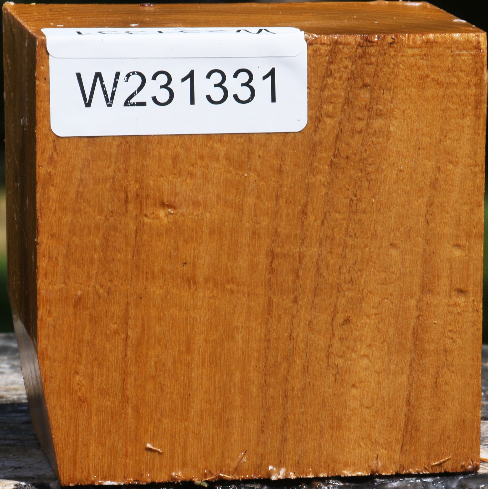 231331_1_d0288ff6-ff88-4d5f-a3f8-88fdd93811e7 15094658040179
