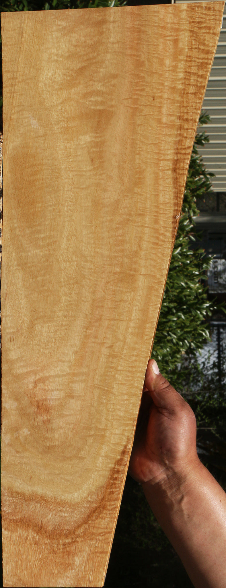 231417_1_3037bb97-a20f-4a97-8c54-30f4002848d7 15095741710707