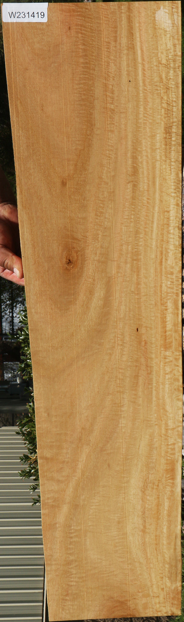 231419_1_a58ea692-2153-47dc-b90e-35eb0da8c4de 15095741841779