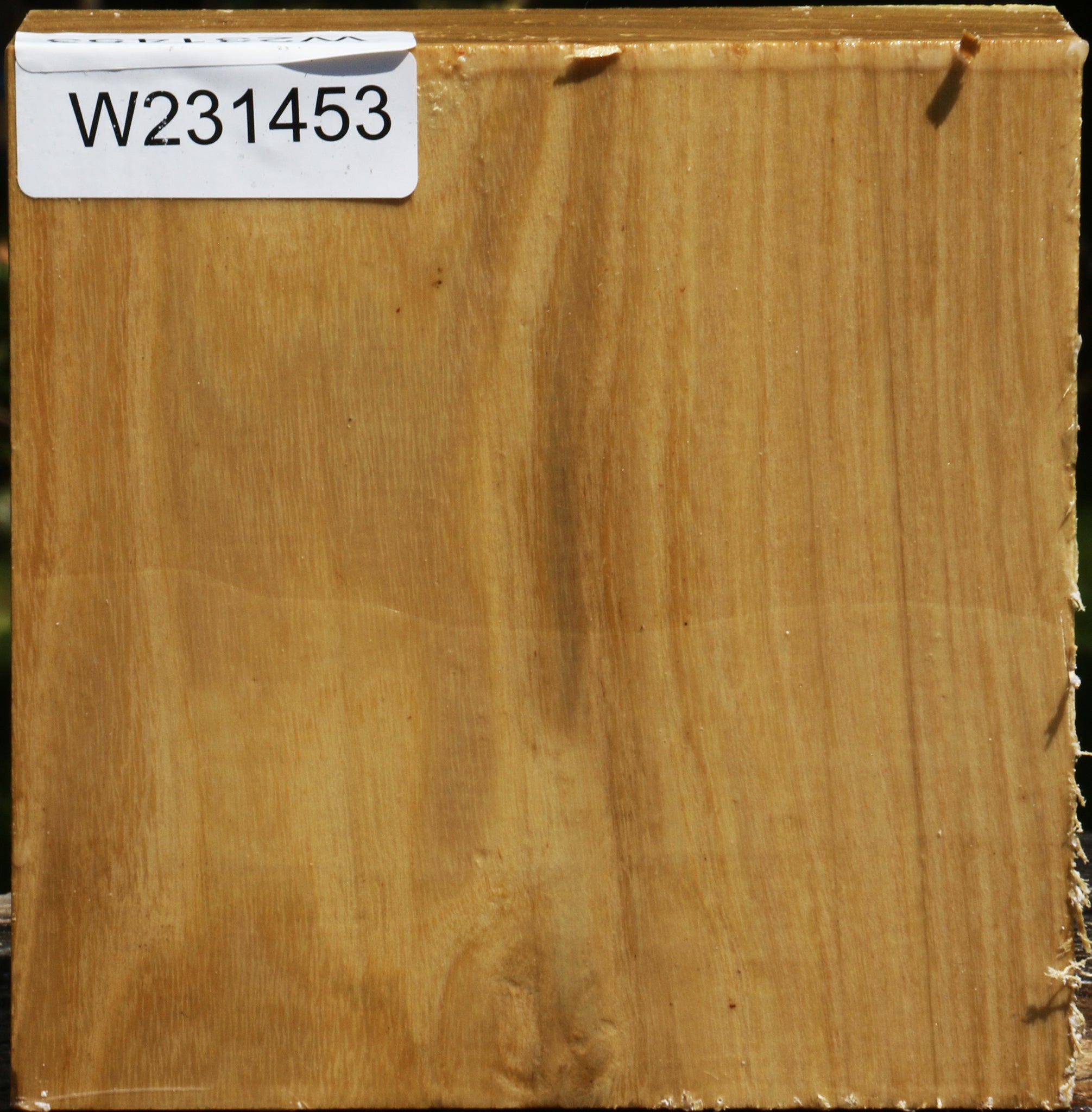 231453_1_e6e91619-6fdc-4ffd-96d8-6862cee18807 15098149044595