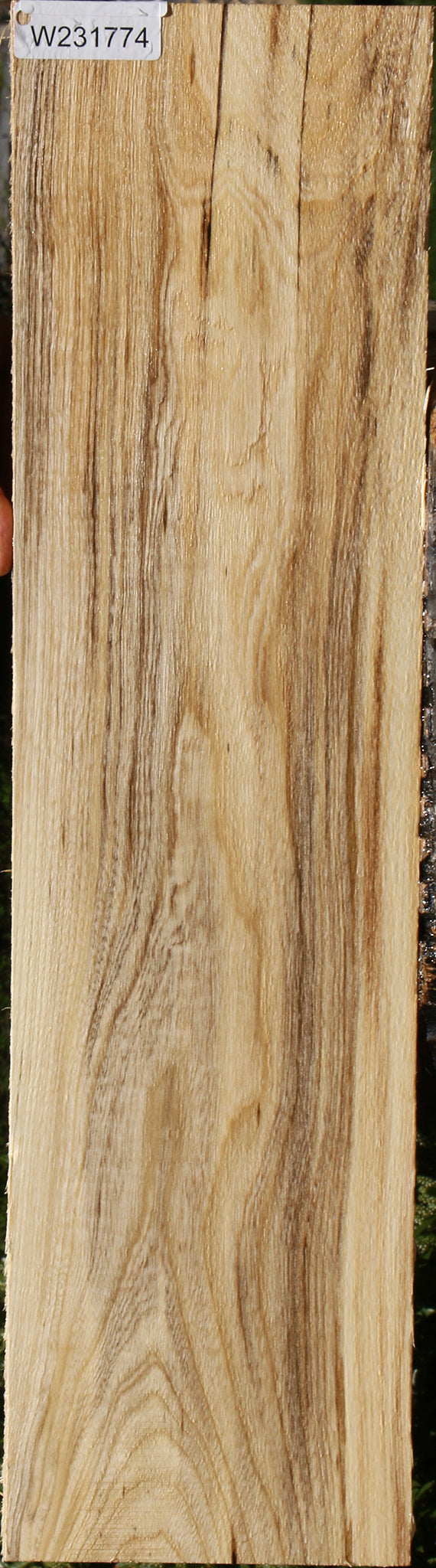 231774_1_48b6fcd6-0511-45e2-938d-a5287079090e 15101419127155