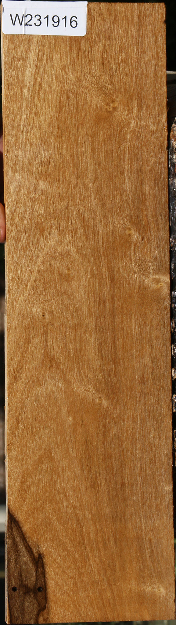 231916_1_fa7da769-a8e5-4ca5-b152-3a19a368881e 15101431710067