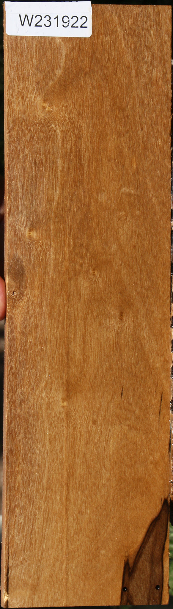 231922_1_b3d6236d-d601-4eee-980b-2234db9c82bc 15101432070515