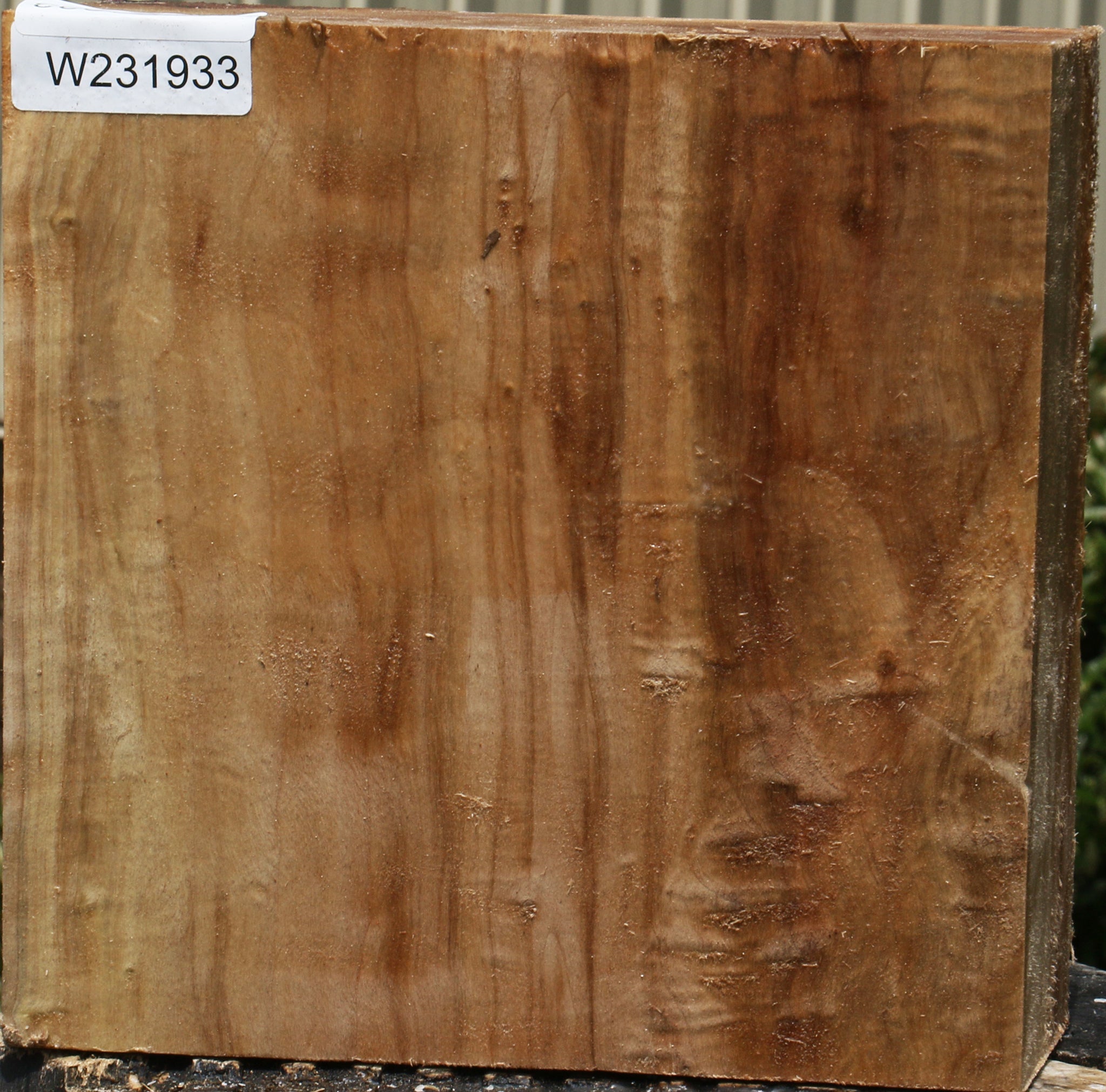 231933_1_cbbf6c8d-edb7-4837-b12c-b24af797ad12 15103779570035