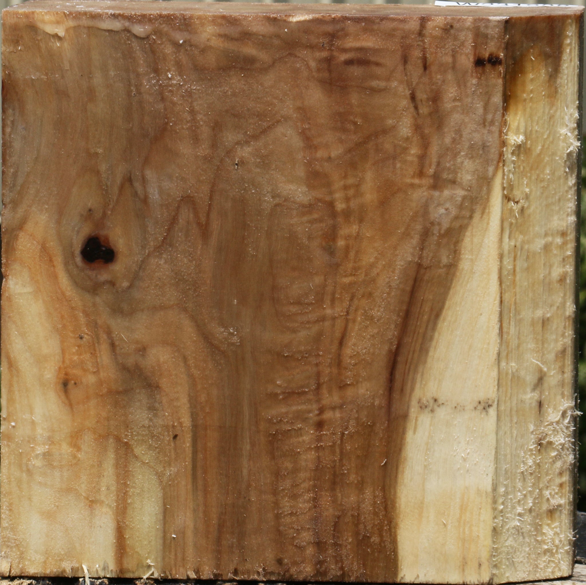 231938_1_2ee83ffd-b7da-46ee-9004-606c4952b82e 15103781667187