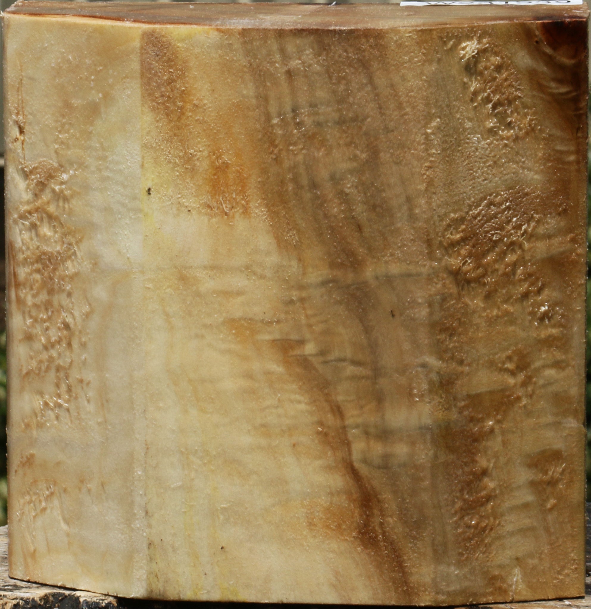 231939_1_fe30a400-6377-40f6-8682-fa99ab016ac1 15103782027635