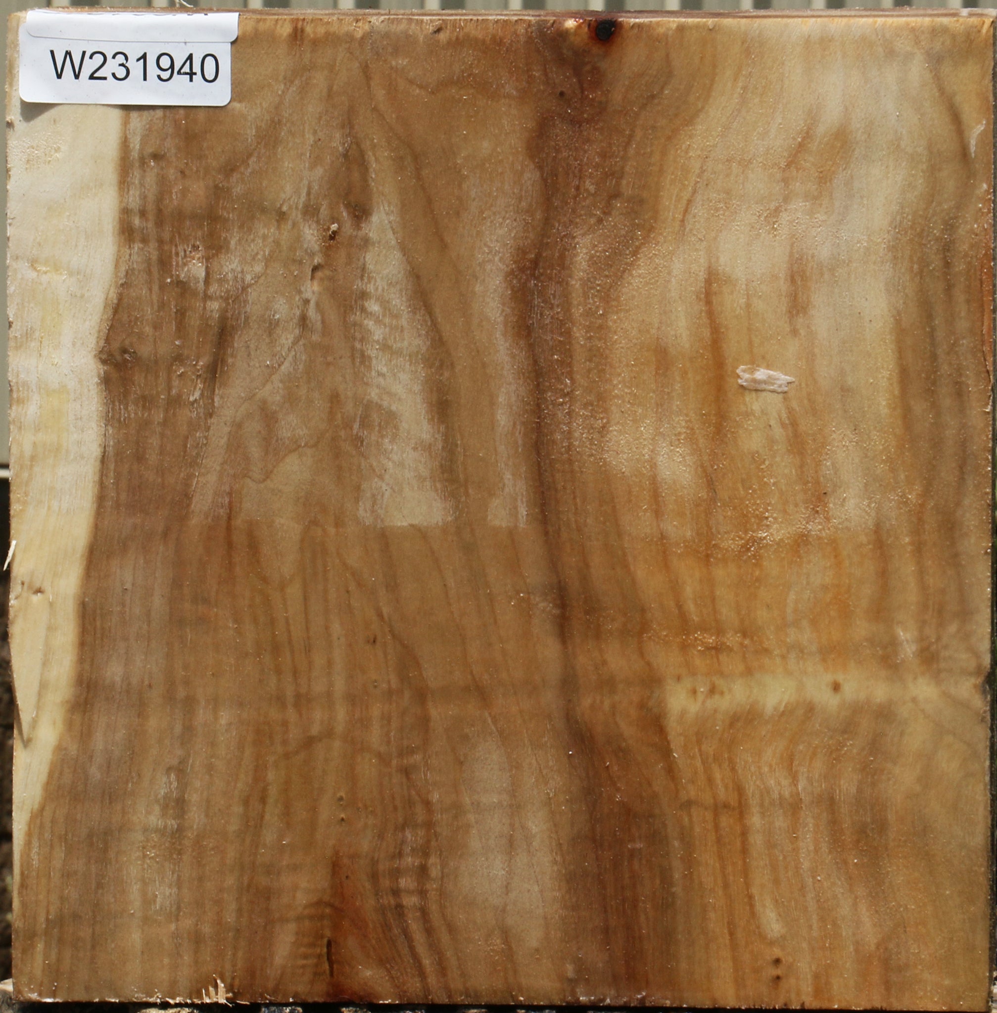 231940_1_7327ea37-e477-4a75-860a-5022f551750f 15103782453619