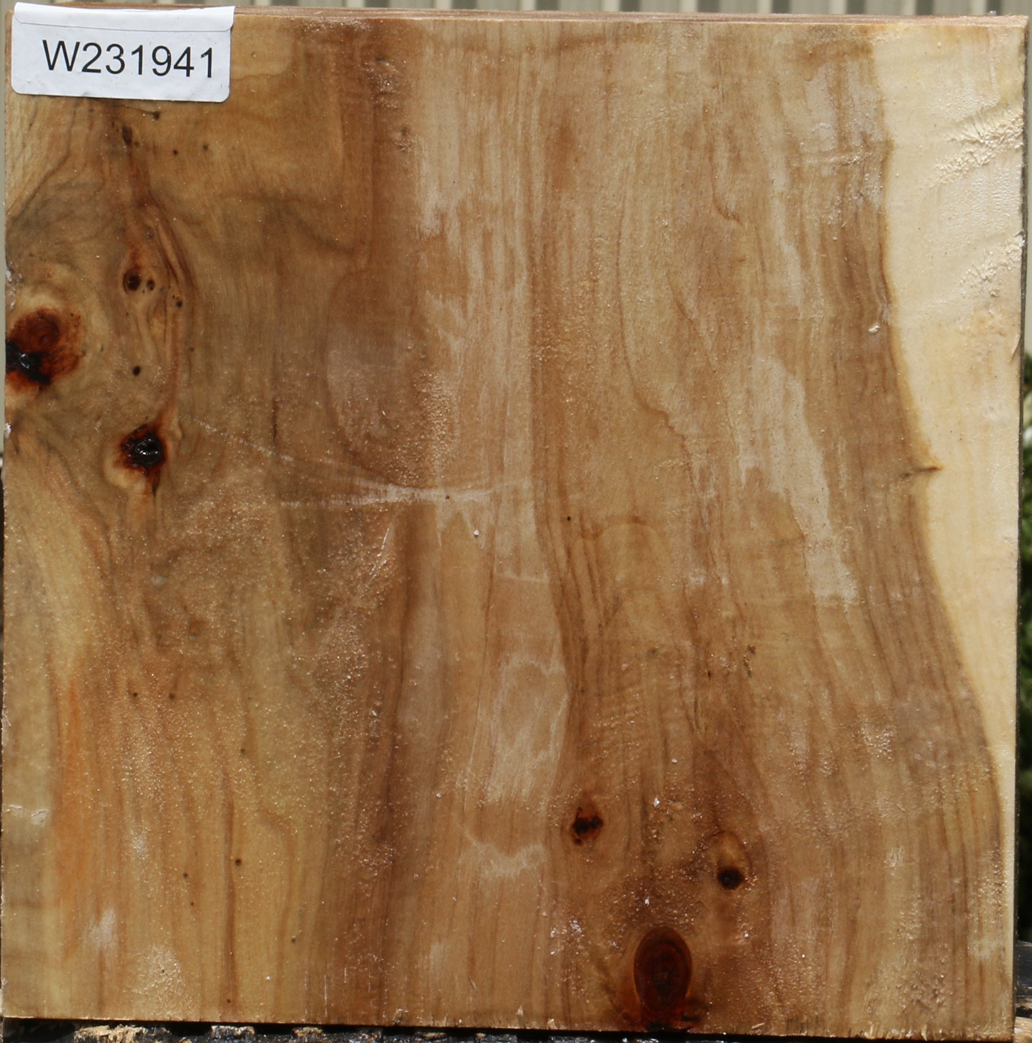 231941_1_c4a45c55-e84d-4db5-bbda-03f8890939e0 15103782912371