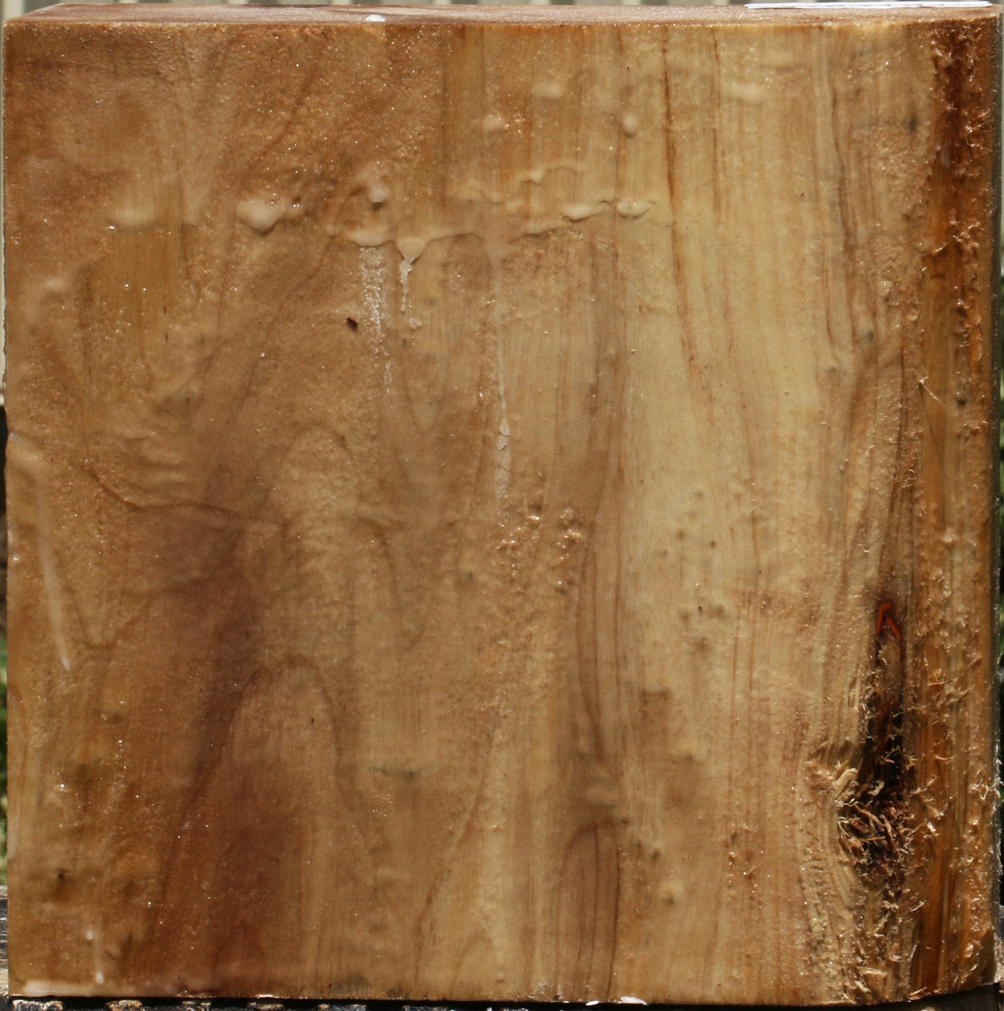 231942_1_e6f19d10-67c7-4cd7-bf0c-85e620a1be96 15103783305587