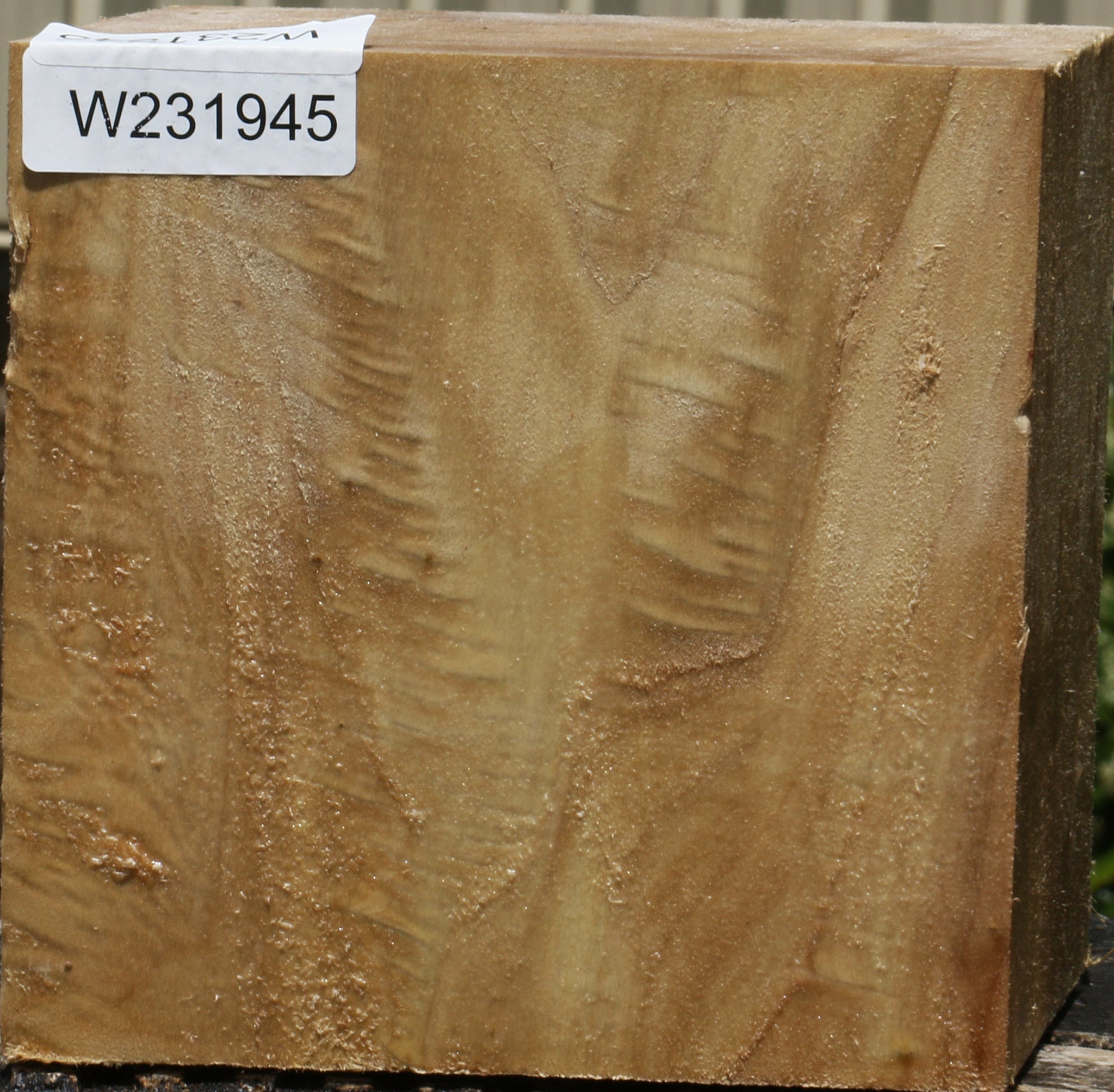 231945_1_461b73a2-164f-4904-ba58-65acfbc65fd2 15103784190323