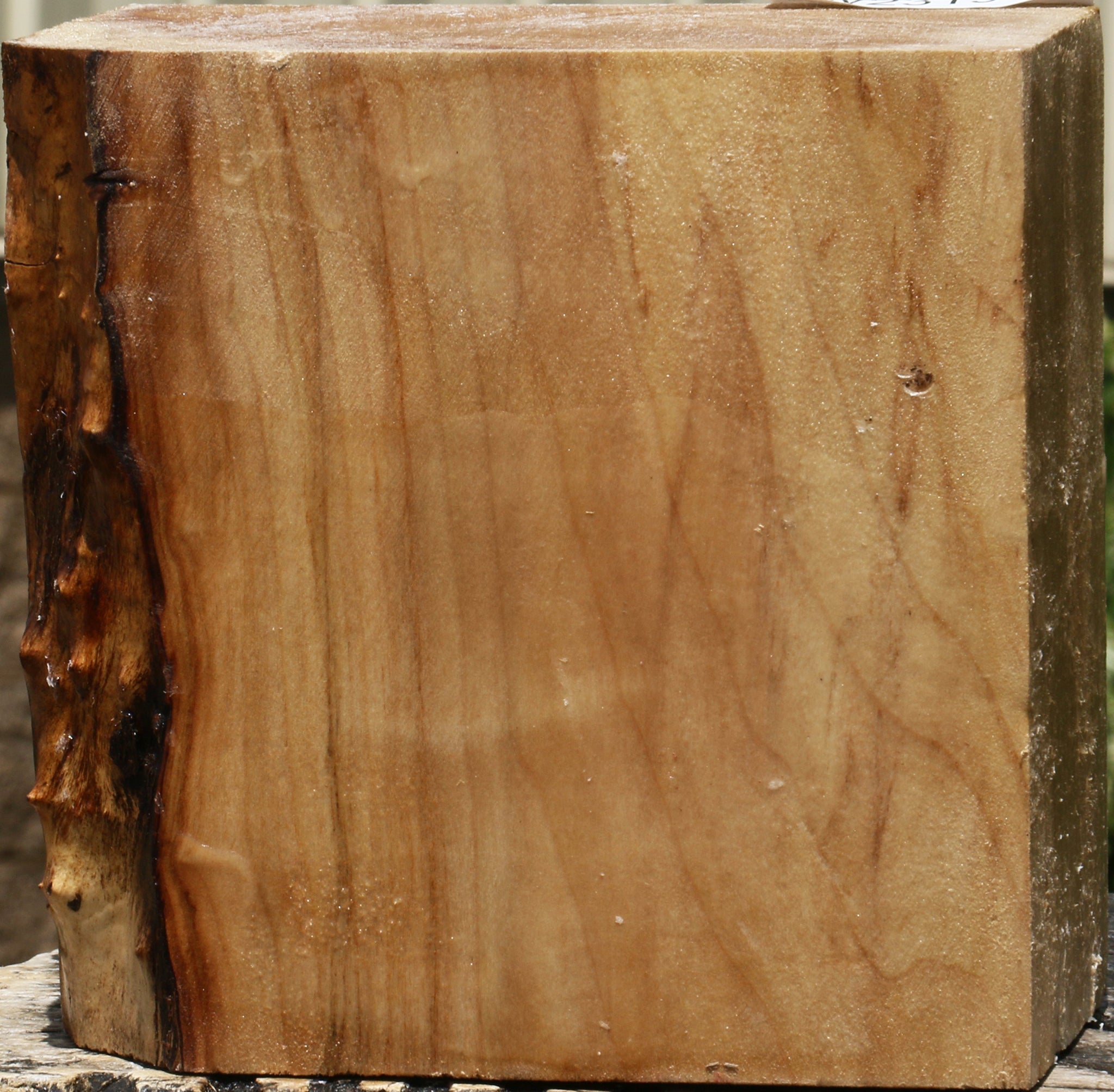 231948_1_e0f789aa-f9d7-4c20-9642-8ad67978a4a5 15103784518003