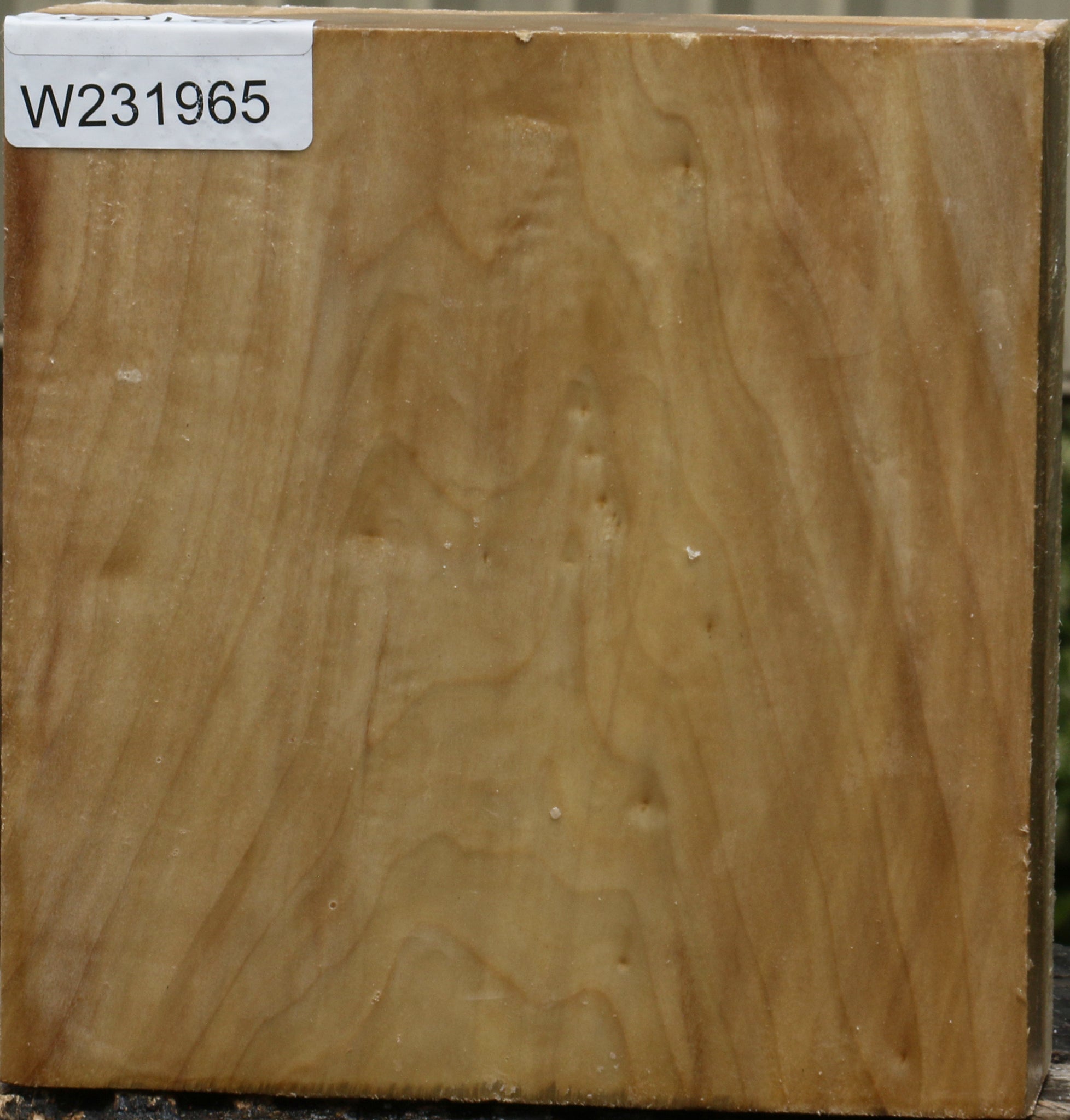 231965_1_8a86e2fb-0437-4512-b3f6-cf7cbc36371c 15103785664883