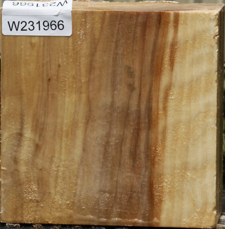 15103785697651