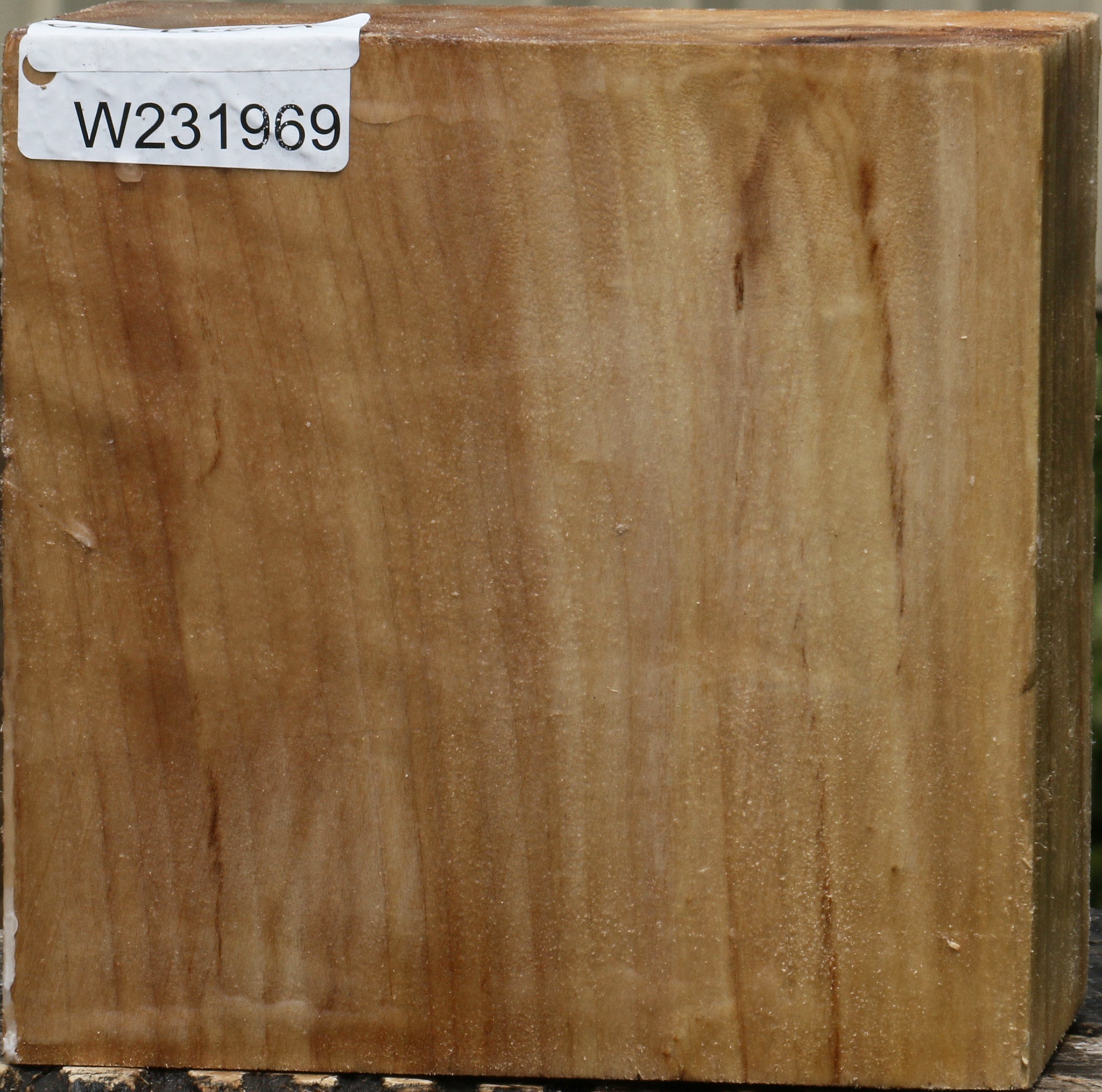 231969_1_d7f7466c-ee5f-4943-8773-c86eff72424a 15103785959795