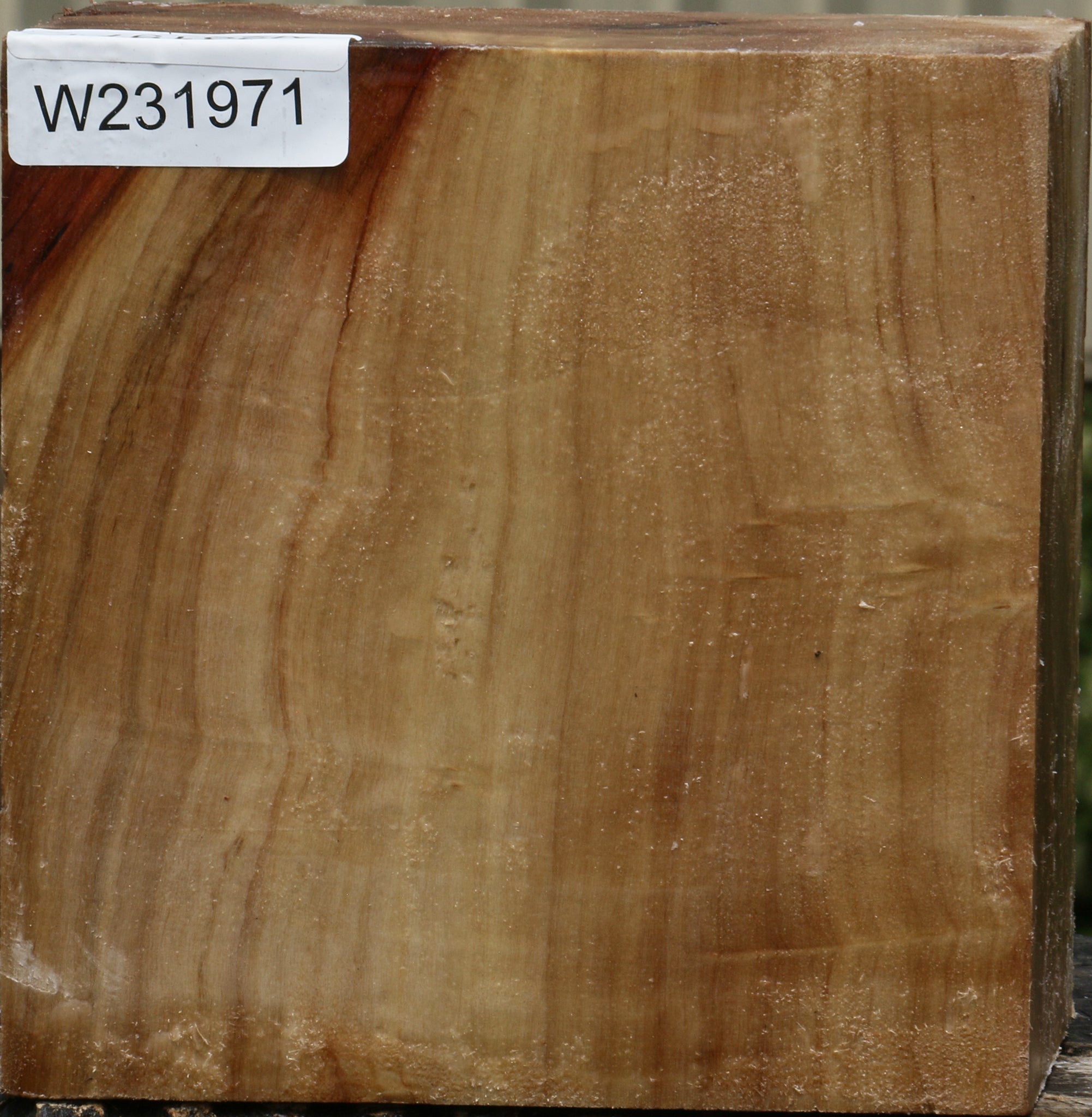 231971_1_dd9fe076-5076-4501-be53-3a44ebd90c6b 15103786058099