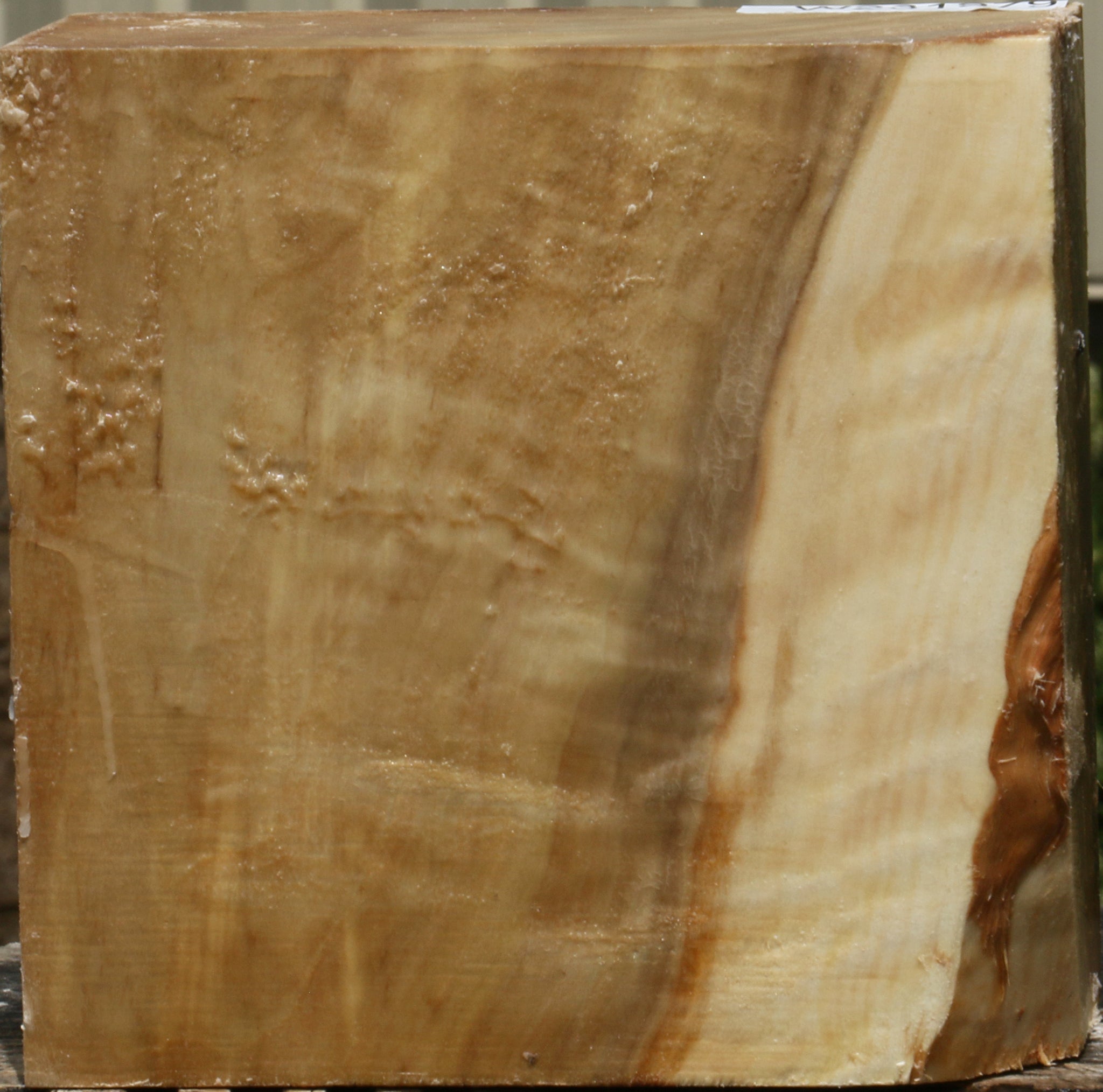 231979_1_5a08e7ce-c5c2-4e16-b96f-3103c7707d8f 15103786615155