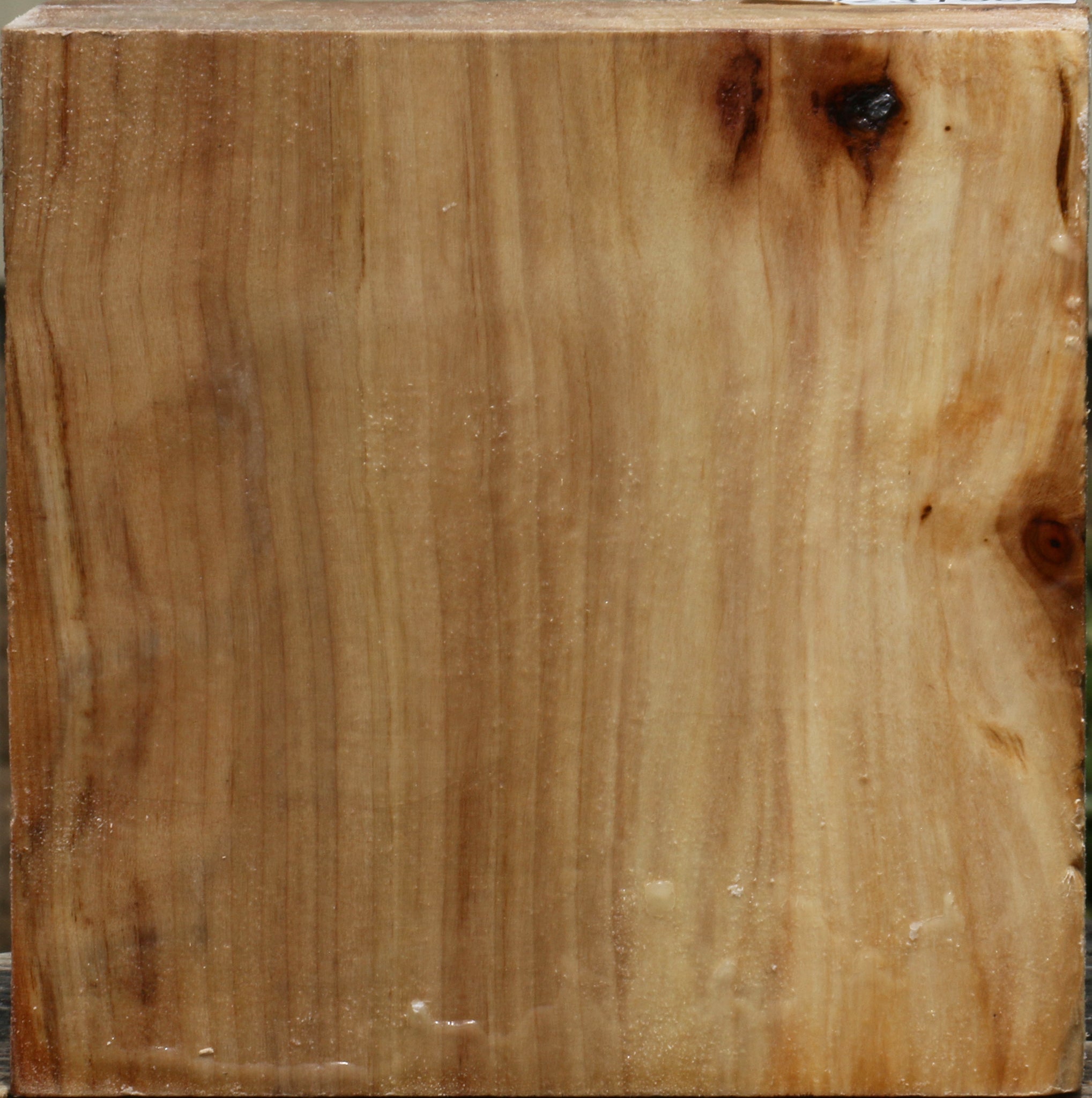 231982_1_4edbb6bb-557a-43bb-bd03-1910c0be22a2 15103786844531