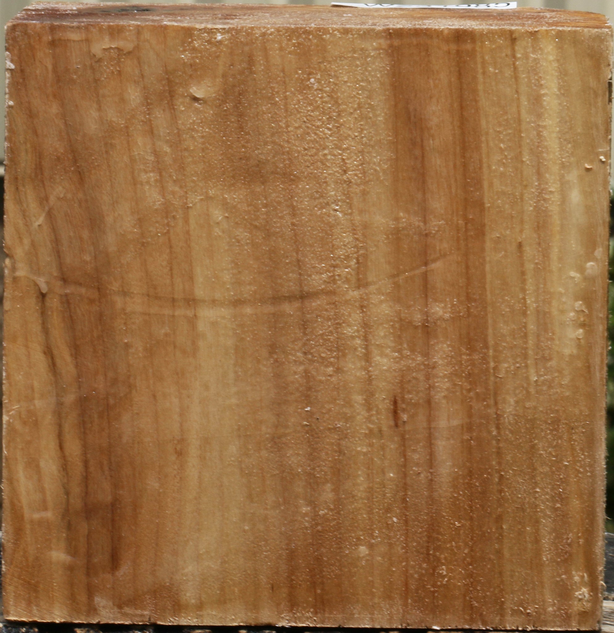 231985_1_ffc43ac6-2f24-456e-b918-4fb342fb652c 15103787041139