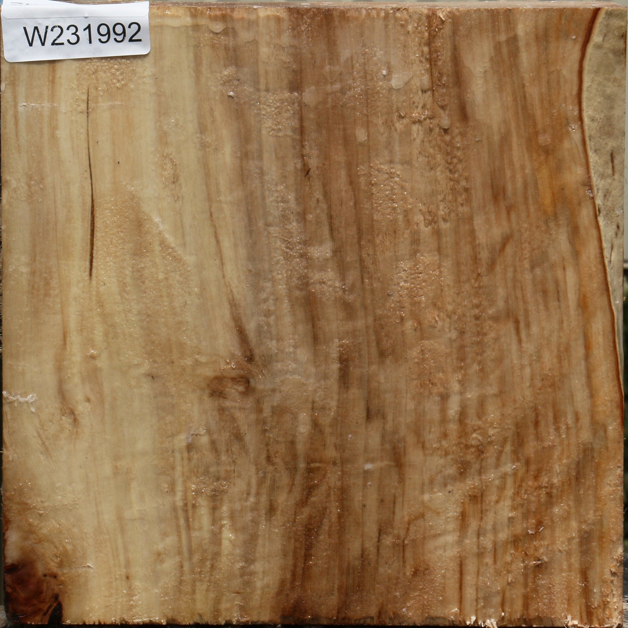 231992_1_8602402b-6ca0-42b7-aa5e-92e87482cba3 15103787598195