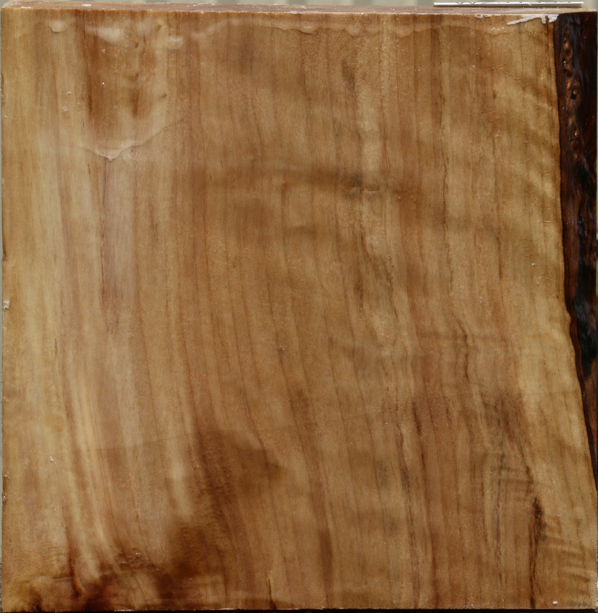 231994_1_02205d85-eec5-43ce-895b-cd9980cb4891 15103787794803