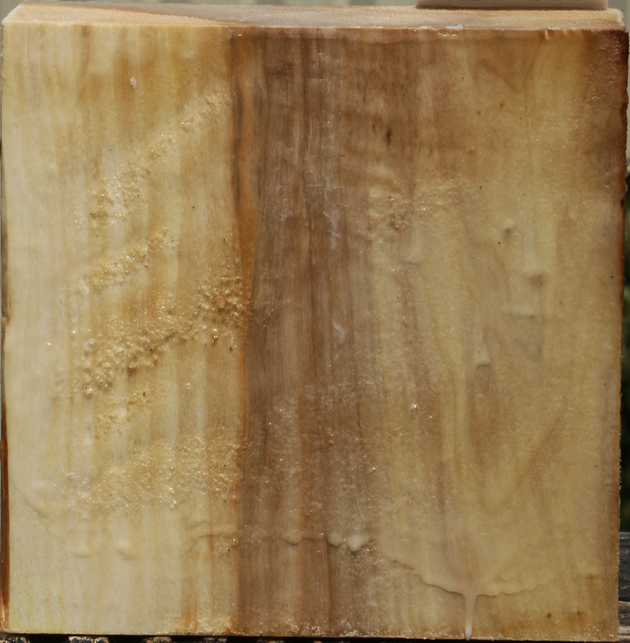 231996_1_35acdea4-cee4-4087-8b7e-8db2a23249a5 15103787893107