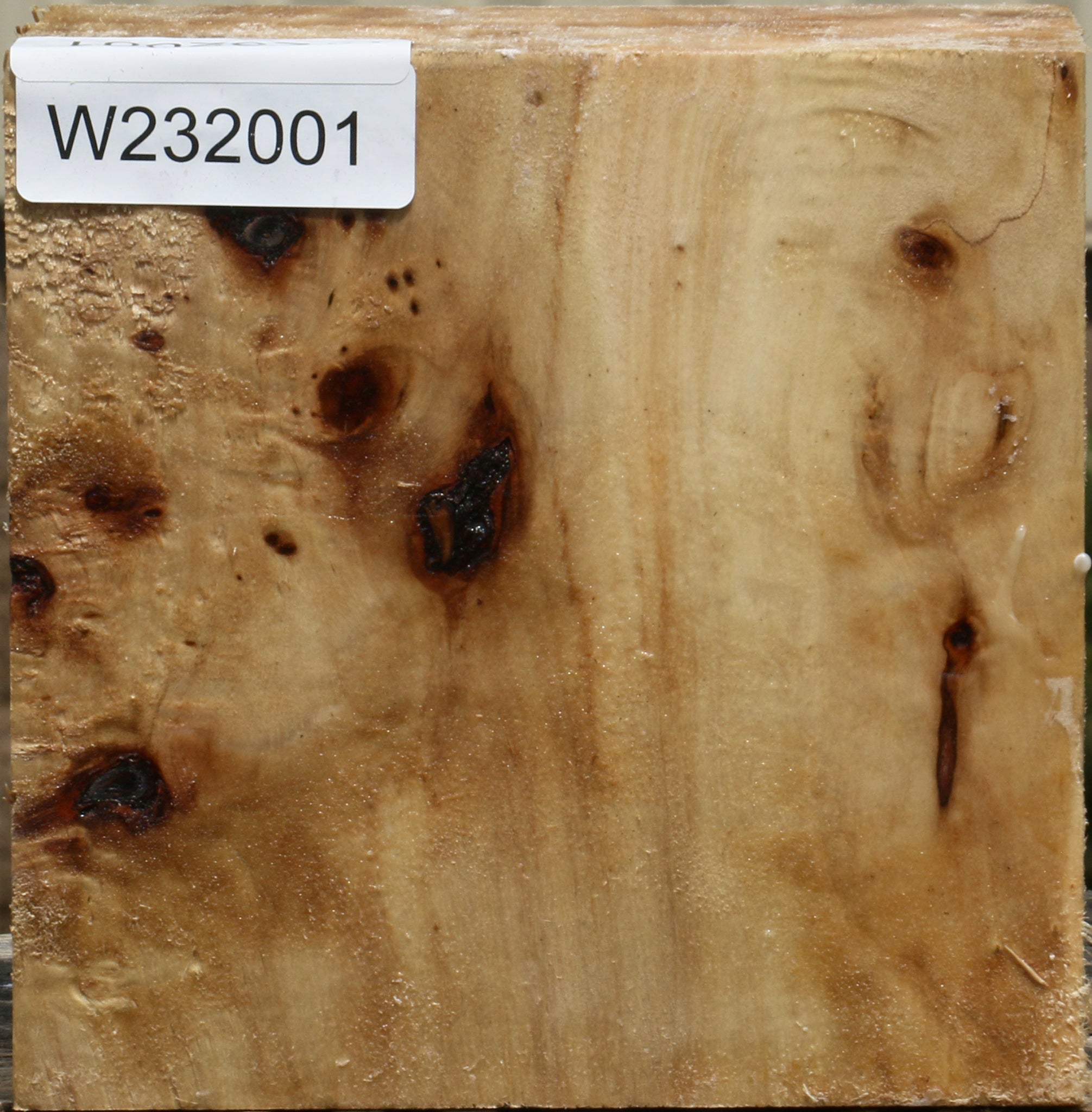 232001_1_7675f2dd-8b7e-454a-9487-6f549907351d 15103788155251