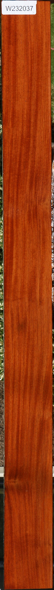 232037_1_ed7d0603-3800-41ea-845e-3e753a3b75cd 15096108712307