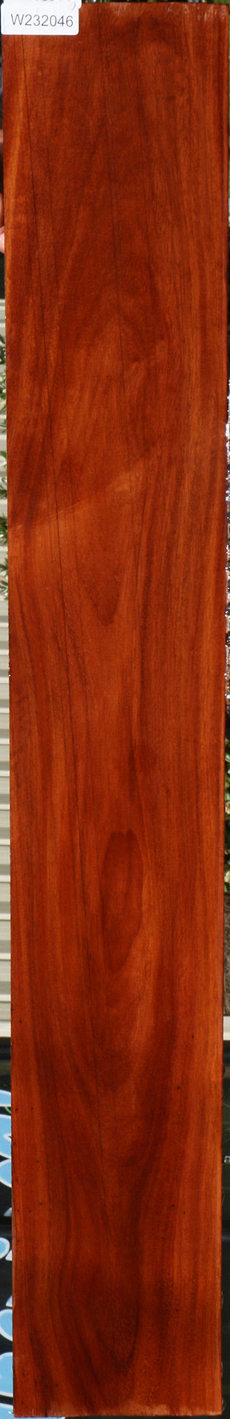 232046_1_f76e1d7f-9348-477a-a156-2dab53cc6e28 15096109105523