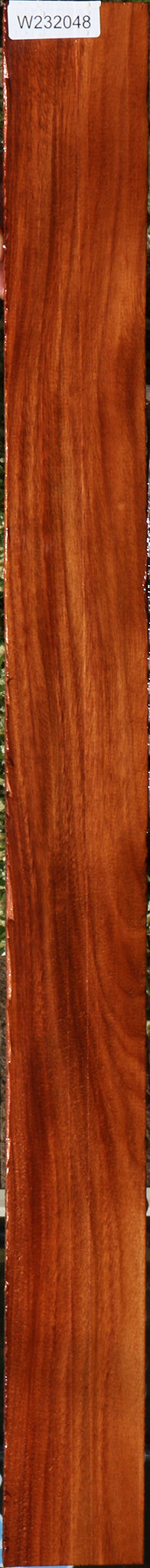 232048_1_4b93acd3-c0f4-46ae-9ab0-1a1f494ddbda 15096109236595