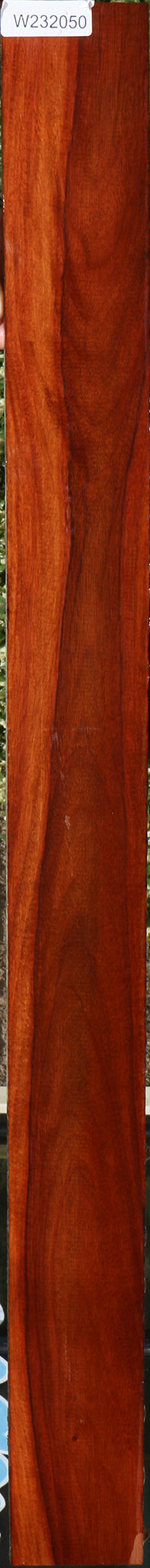 232050_1_488821b7-64be-44ee-a495-fbf4c4bf71db 15096109302131