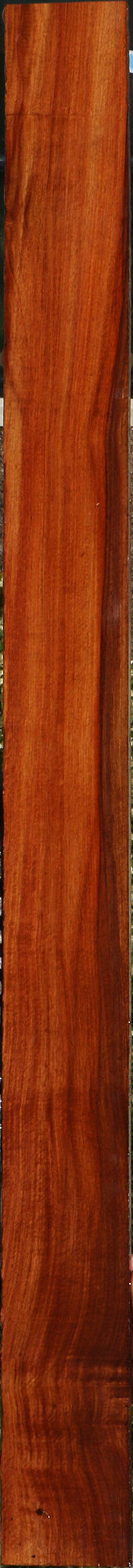 232064_1_266c3fb0-1265-48d5-9a84-72866be27c16 15096109924723