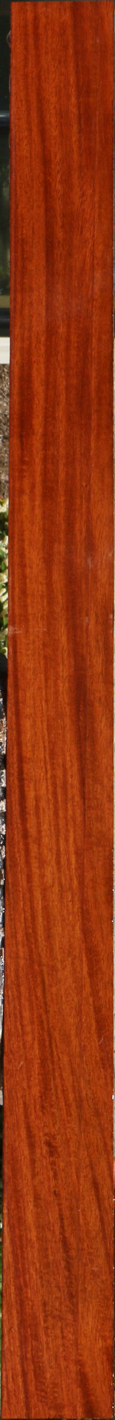 232067_1_acc72f2e-777b-4f96-8edd-44ee16f9c9ff 15096110023027