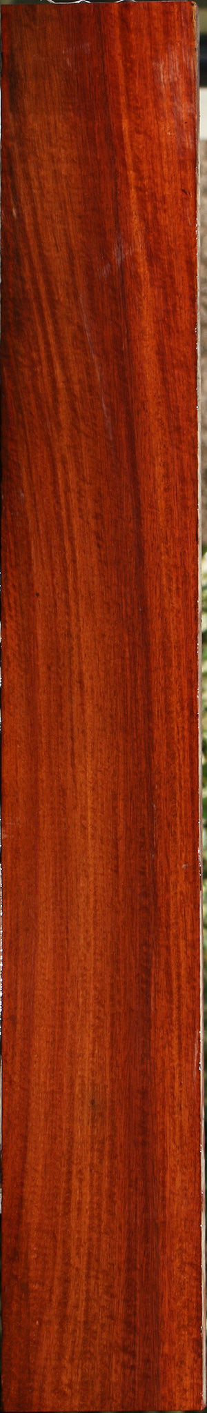 232085_1_4e474423-d4ae-4f3b-b926-46467a934667 15096111104371