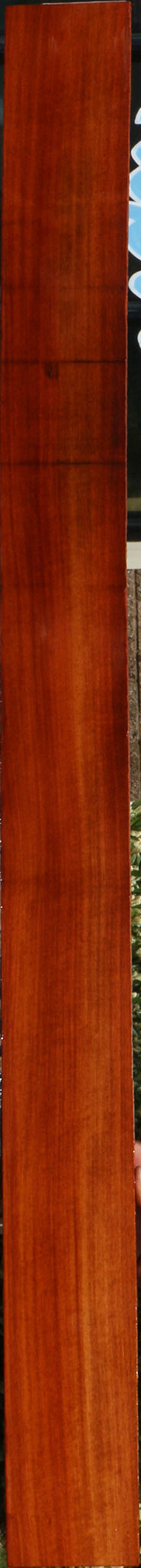 232089_1_6d4174f2-85e5-43f0-aaa3-1bb057b3f015 15096111268211