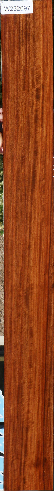 232097_1_4c117ee8-e94f-4bc3-9d64-1ceae2cae6d4 15096111595891