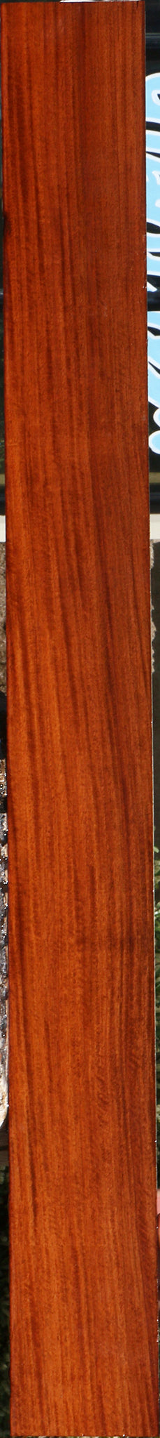 232105_1_61f43c7f-06bc-4beb-b698-00176d9d23f0 15096111956339