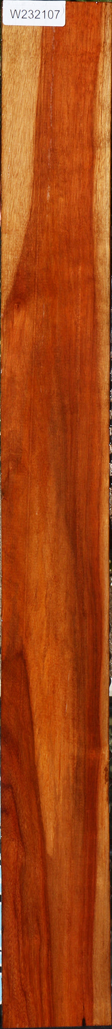 232107_1_81fe25d9-eb0e-471d-bac3-7ca12f8dbbfe 15096112054643