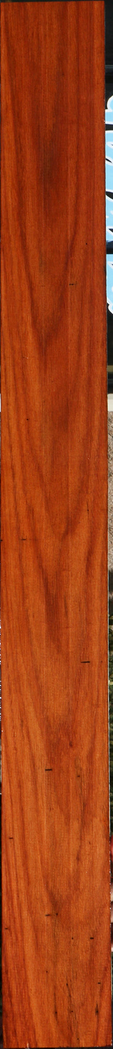 232114_1_e154b2ed-d1b0-47a2-a293-cb9b90276cfe 15096112415091