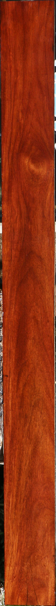 232122_1_da198361-964d-4501-ada7-a36f6d10d8b5 15096112906611