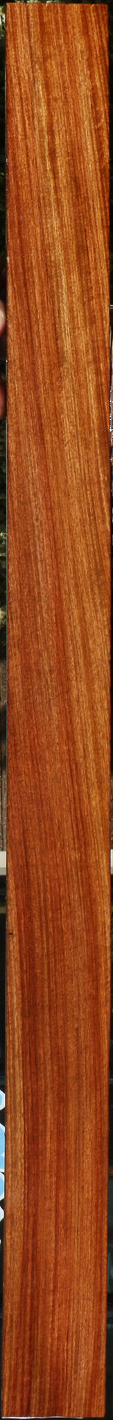 232133_1_fceba209-0562-45fb-9504-c0d07b733151 15096113332595