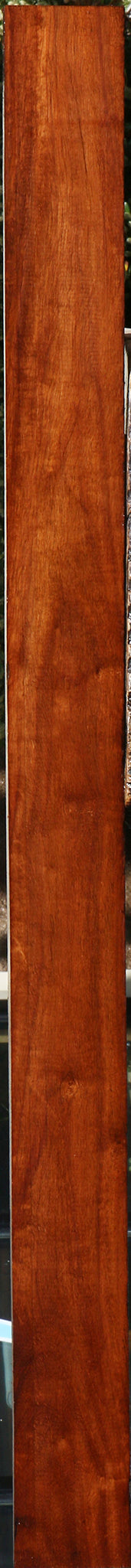 232135_1_157b7890-891d-4aa5-a6e4-0097d00ee9f0 15096113398131