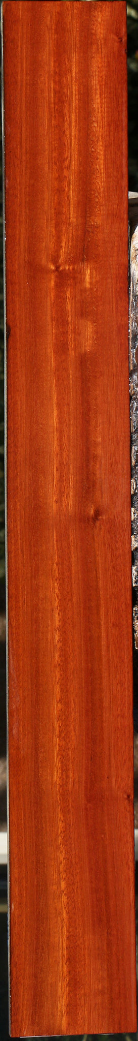 232137_1_7f11a9cf-a287-4627-8226-63cbc2f0071a 15096113496435