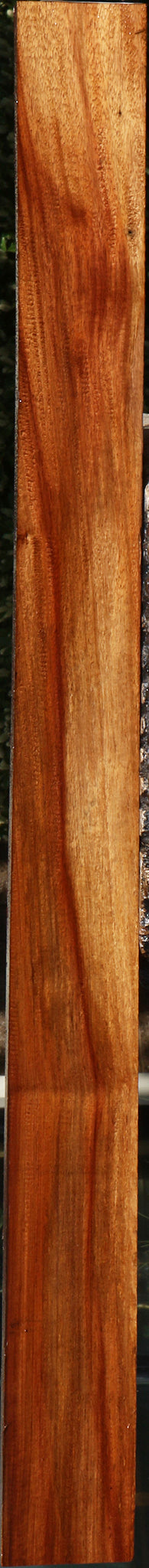 232146_1_2b7b2180-f629-4821-9191-8680bf31f84f 15096113856883