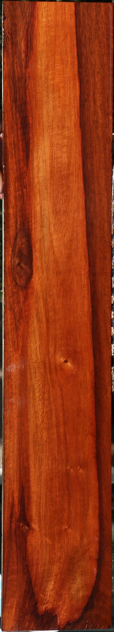 232148_1_c9febcbd-eecf-4a38-a8bf-7b01e63eaebe 15096113922419