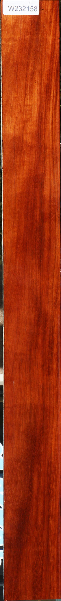 232158_1_e7e674c4-abcd-4acc-bb7d-43fa860095ac 15096114282867