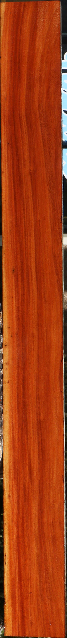 232160_1_519e6775-8e63-4929-8944-df20cca7d5c7 15096114348403