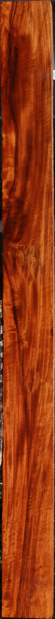 232171_1_cf4e80a7-acda-4df0-ba4f-32f9792b9ba6 15096114807155